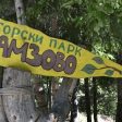 Община Смолян кани на поход до Горски парк Амзово