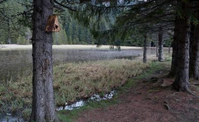 Стартира подаване на проектни идеи за опазването на влажните зони