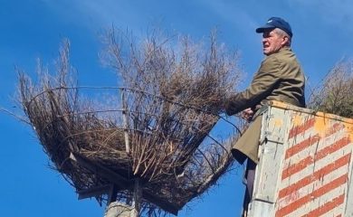 Родопчанин изгради гнездо за щъркели в Доспат и редовно се грижи за тях