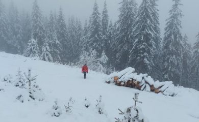 Продължава издирването на изчезналата жена в Чепеларе