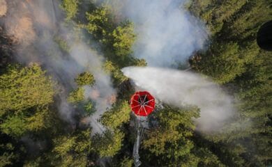 Благодарности към всички, които се борят с горския пожар край Хвойна