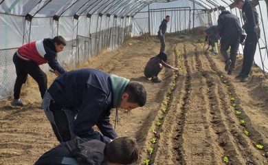 Чепеларски ученици научиха как се сеят зеленчуци по време на учебна практика